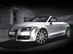 Audi TT Roadster 2007 года (WW)